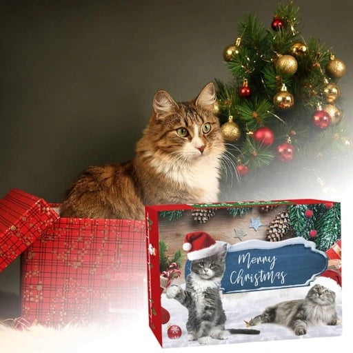 🎄😺 Kocie Święta Nadchodzą – Adwentowy Kalendarz Pełen Zabawek! 🐾